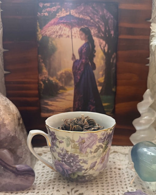 Plum Purple Wisteria