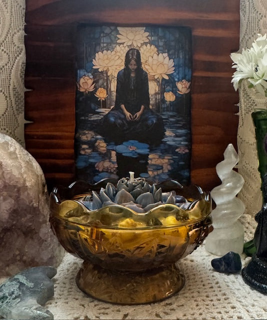 Indigo Lotus