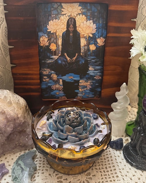 Indigo Lotus