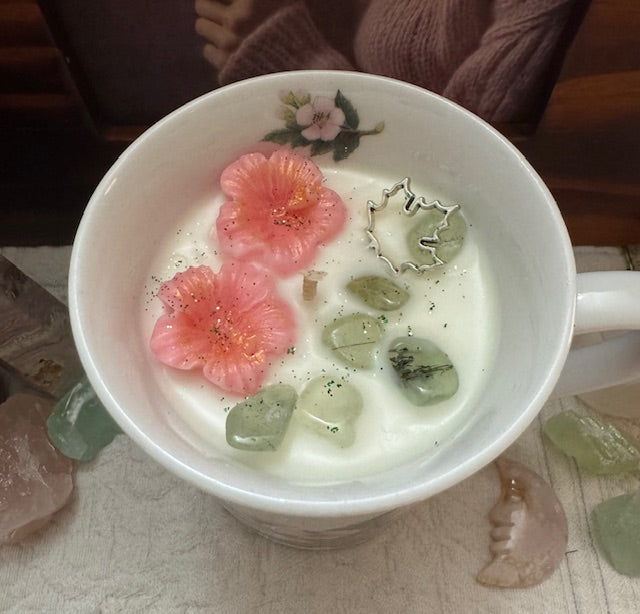 Hibiscus Marshmallow Plant