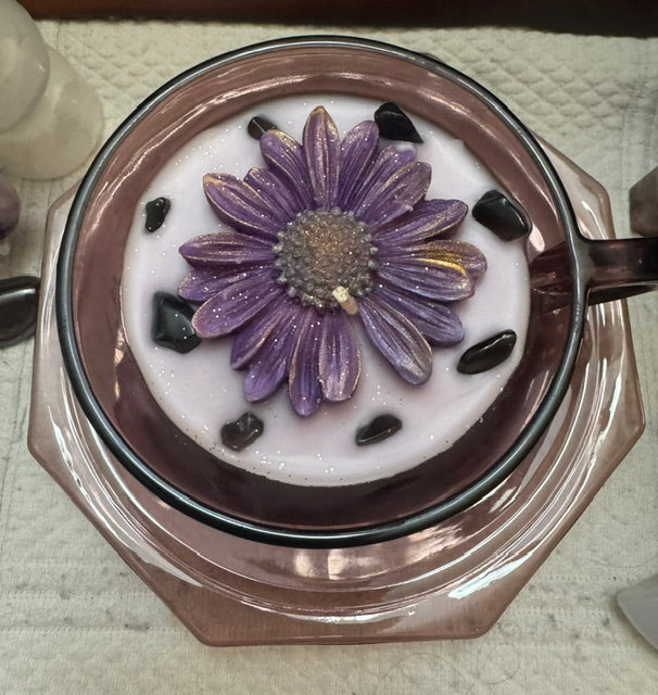 Lavender Daisy