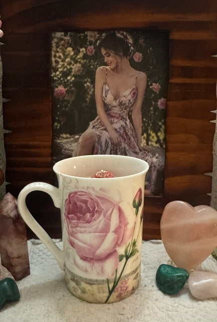Rose Garden Dream